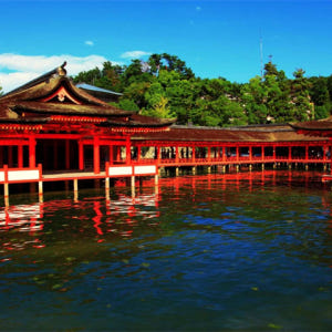 일본 오사카와 교토에서 출발하는 히로시마와 미야지마 1일 버스 투어 솔직 후기 | 실사용자 리뷰 분석 - 상품 이미지 2