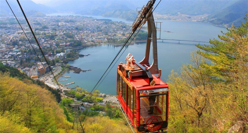 일본 도쿄 야마나시 후지산 파노라마 로프웨이 계절 과일 따기 이미지 3