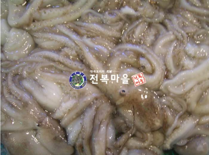 쭈꾸미 생주꾸미 500g 국산주꾸미 국산쭈꾸미 (조업당일 발송하는상품) - 상세 이미지 2