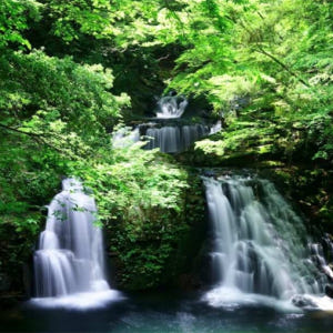 일본 미에  Akame 48 폭포  힐링스팟  아카메 폭포  일본 도롱뇽... 솔직 후기 | 실사용자 리뷰 분석 - 상품 이미지 1