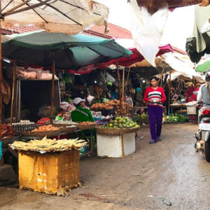 캄보디아 프사 루 톰 트메이 캄보디아 전통 시장 투어 솔직 후기 | 실사용자 리뷰 분석 - 상품 이미지 2