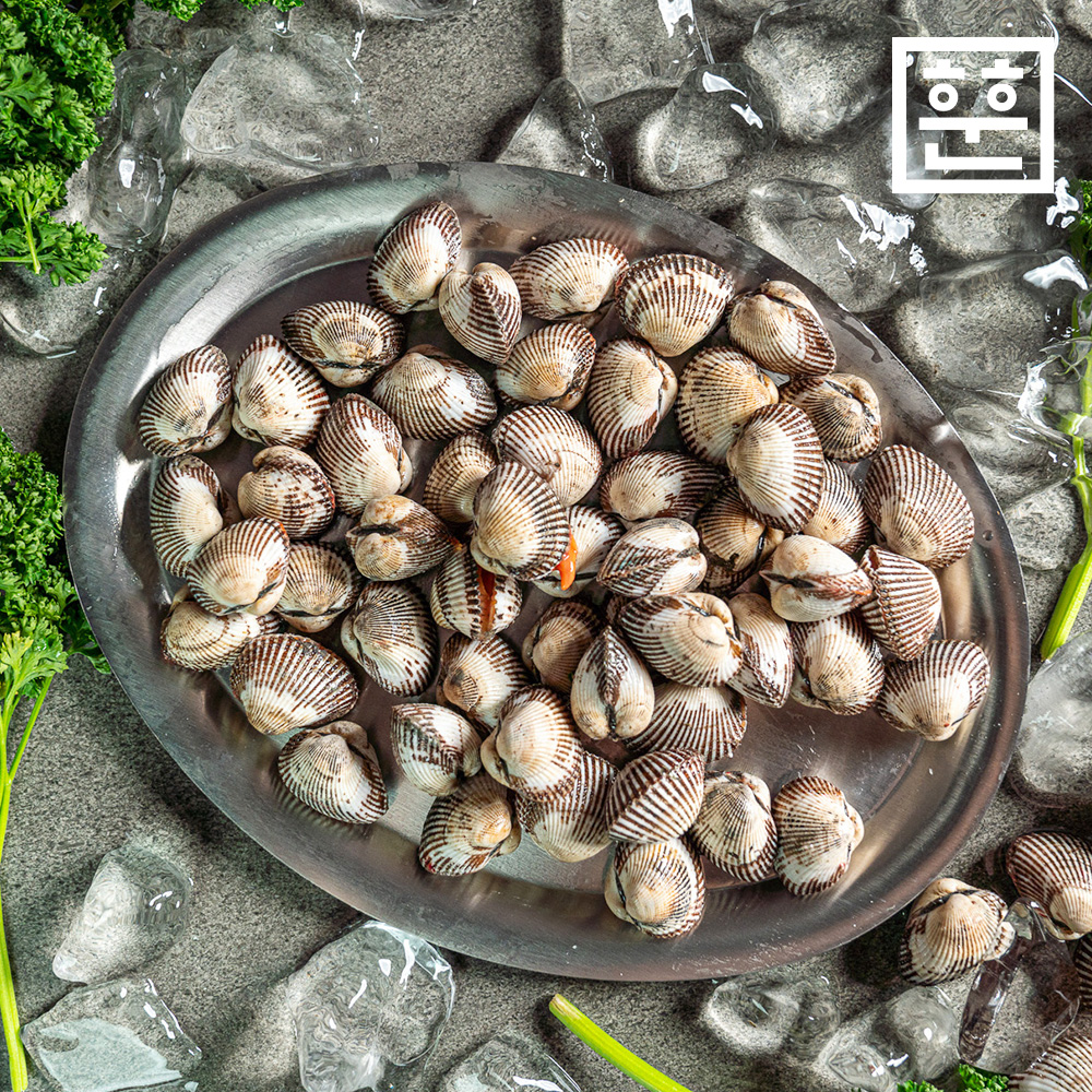 국내산 벌교 새꼬막 1kg 제철 여자만 당일조업