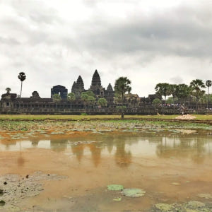 캄보디아 3일 앙코르 프라이빗 툭툭 투어 솔직 후기 | 실사용자 리뷰 분석 - 상품 이미지 1