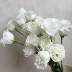 리틀캠든 셀프웨딩 화이트 부케 합리적 온라인꽃집 솔직 후기 | 실사용자 리뷰 분석 - 상품 이미지 4