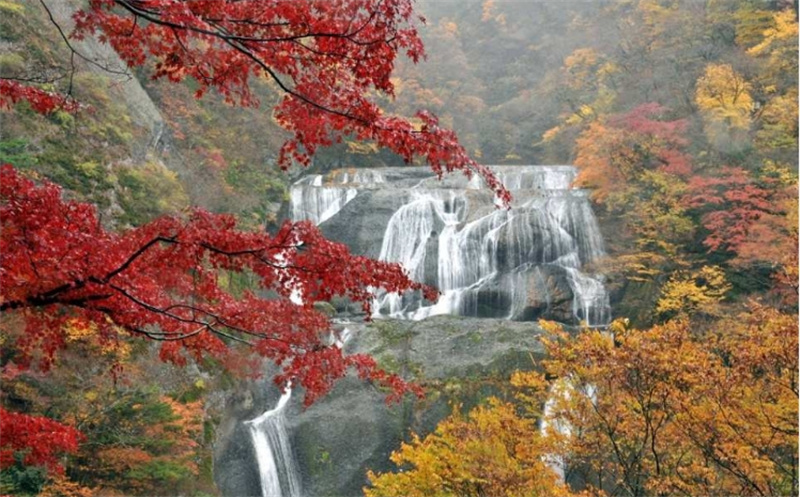 일본 이바라키 1박 2일 버스투어  가사마 이나리 신사 가이라쿠엔 후쿠로다 폭포 류진 현수교 히타치역  히타치 해변 공원 오아라이 이소사키 신사(다이고 온천 숙박) 이미지 3
