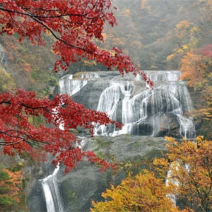 일본 이바라키 1박 2일 버스투어  가사마 이나리 신사 가이라쿠엔 후쿠로... 솔직 후기 | 실사용자 리뷰 분석 - 상품 이미지 3