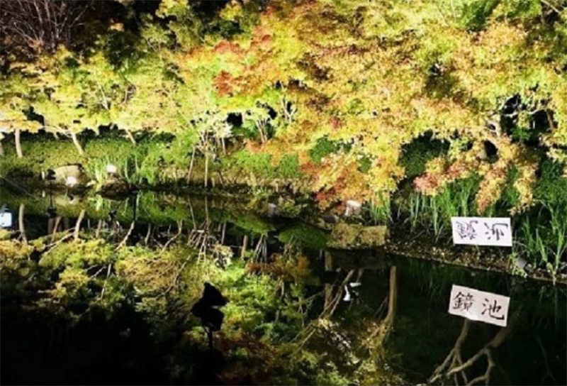 일본 미에 일일 투어 미쓰이 아울렛 파크 나바나노사토(나고야 출발) 이미지 4