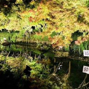 일본 미에 일일 투어 미쓰이 아울렛 파크 나바나노사토(나고야 출발) 솔직 후기 | 실사용자 리뷰 분석 - 상품 이미지 4