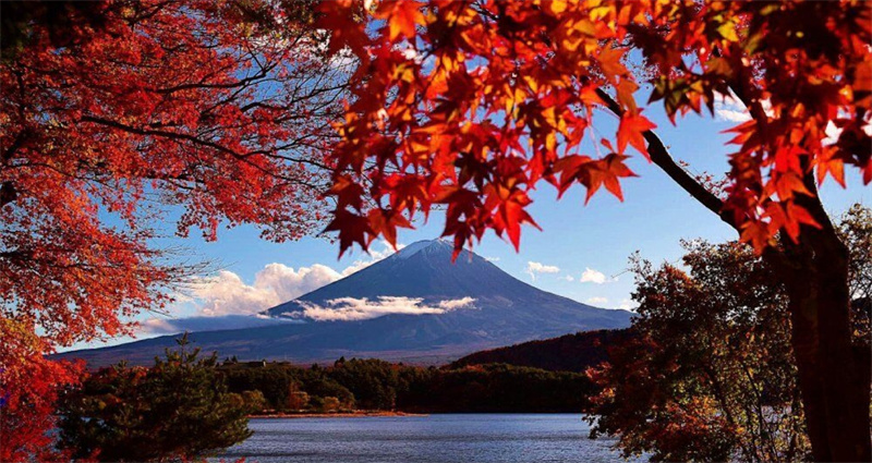 일본 도쿄 야마나시 후지산 파노라마 로프웨이 계절 과일 따기 이미지 1