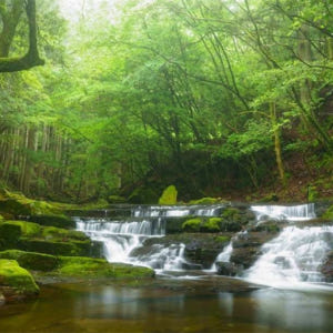 일본 미에  Akame 48 폭포  힐링스팟  아카메 폭포  일본 도롱뇽... 솔직 후기 | 실사용자 리뷰 분석 - 상품 이미지 2