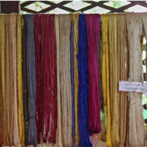 캄보디아 씨엠립 앙코르 누에 농장 & 캄퐁 플럭 수상 마을 선셋 일일 투... 솔직 후기 | 실사용자 리뷰 분석 - 상품 이미지 3