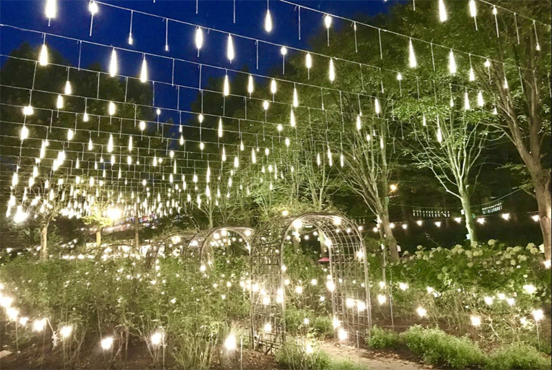 일본 미야기 야쿠라이 정원 스타라이트 일루미네이션 입장권 예약(미야기) 이미지 2