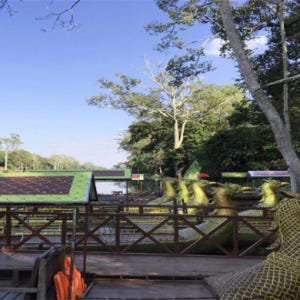 캄보디아 씨엠립 앙코르와트 인스타그램 일일 투어 솔직 후기 | 실사용자 리뷰 분석 - 상품 이미지 1