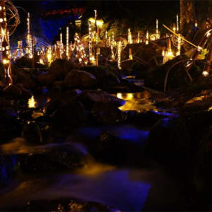 일본 미에  Akame 48 폭포  힐링스팟  아카메 폭포  일본 도롱뇽... 솔직 후기 | 실사용자 리뷰 분석 - 상품 이미지 3