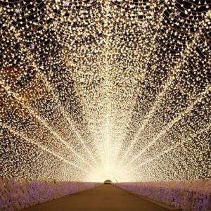 일본 미에 일일 투어 미쓰이 아울렛 파크 나바나노사토(나고야 출발) 솔직 후기 | 실사용자 리뷰 분석 - 상품 이미지 1