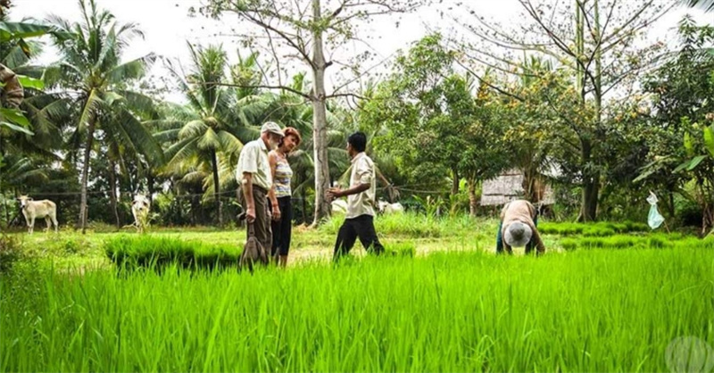 캄보디아 씨엠립 프라이빗 가이드 투어 이미지 4