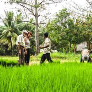 캄보디아 씨엠립 프라이빗 가이드 투어 솔직 후기 | 실사용자 리뷰 분석 - 상품 이미지 4
