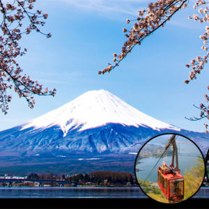 일본 도쿄 야마나시 후지산 파노라마 로프웨이 계절 과일 따기 솔직 후기 | 실사용자 리뷰 분석 - 상품 이미지 2