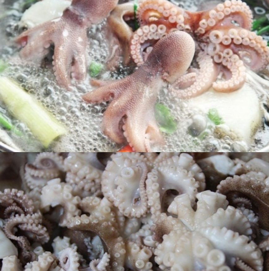 쭈꾸미 생주꾸미 500g 국산주꾸미 국산쭈꾸미 (조업당일 발송하는상품) - 상세 이미지 5