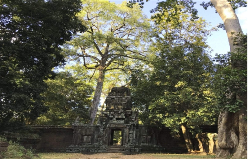 캄보디아 씨엠립 앙코르와트 인스타그램 일일 투어 이미지 2