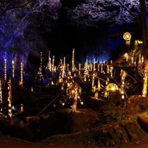 일본 미에  Akame 48 폭포  힐링스팟  아카메 폭포  일본 도롱뇽... 솔직 후기 | 실사용자 리뷰 분석 - 상품 이미지 4