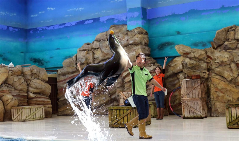 일본 미에  도바 수족관 입장권 이미지 4