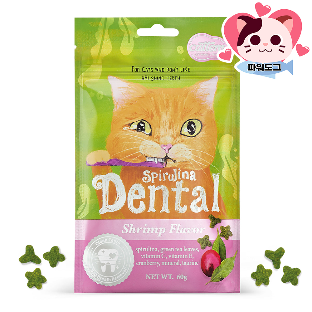 캣템 스피루리나 고양이 이빨과자 치석제거 덴탈 간식 치킨, 60g, 1개 - 상세 이미지 3