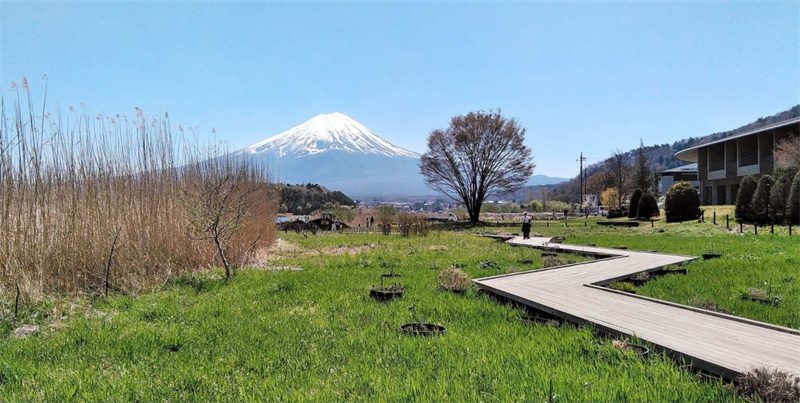 일본 시즈오카 고템바 프리미엄 아울렛에서 후지산 전망과 2시간 이상의 자유시간! 이미지 4