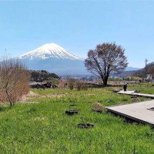 일본  시즈오카 고템바 프리미엄 아울렛에서 후지산 전망과 2시간 이상의 ... 솔직 후기 | 실사용자 리뷰 분석 - 상품 이미지 4