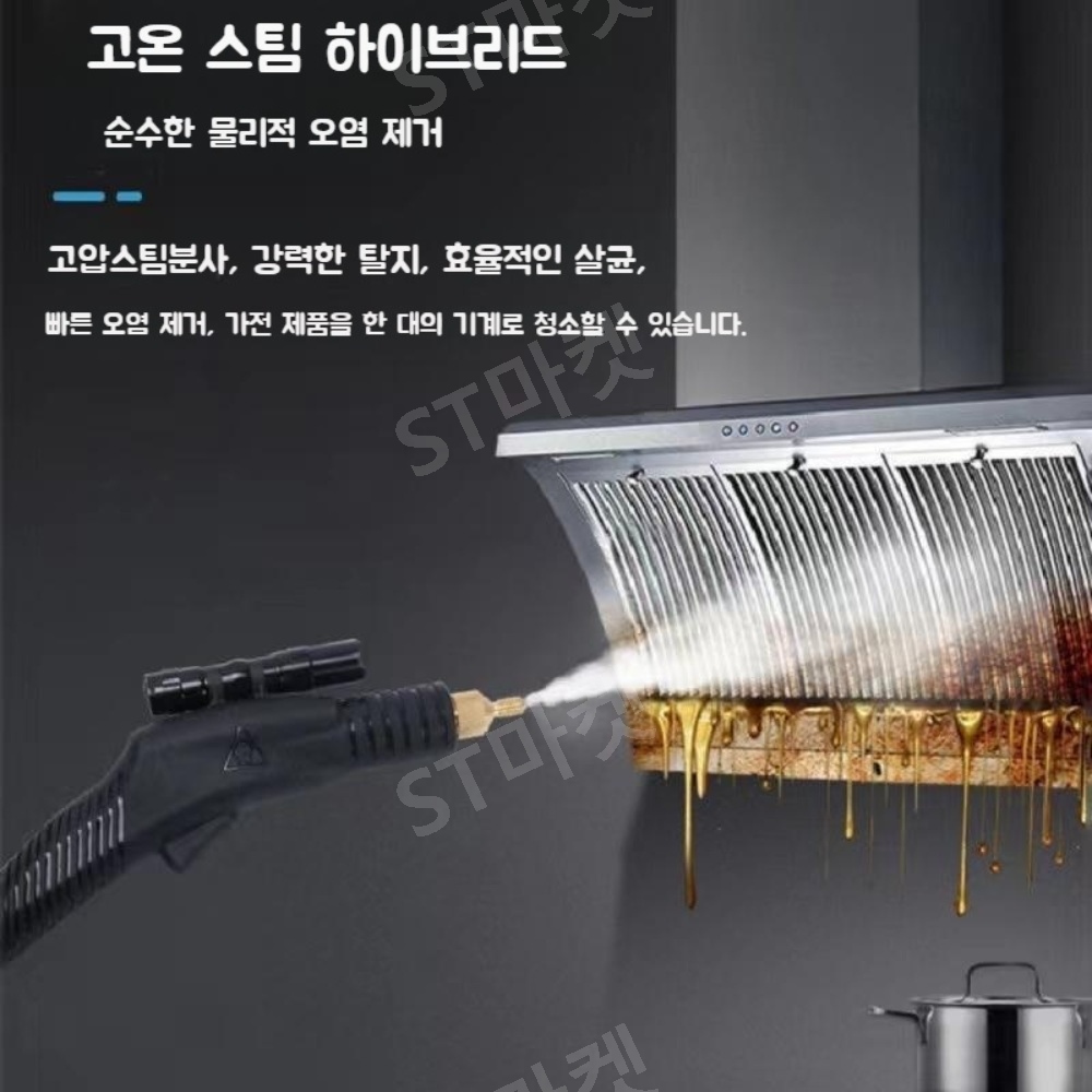 고온 스팀해빙기 고압 분사기 살균 세척 빈대제거 퇴치 진드기 2600W 3000W 이미지 4