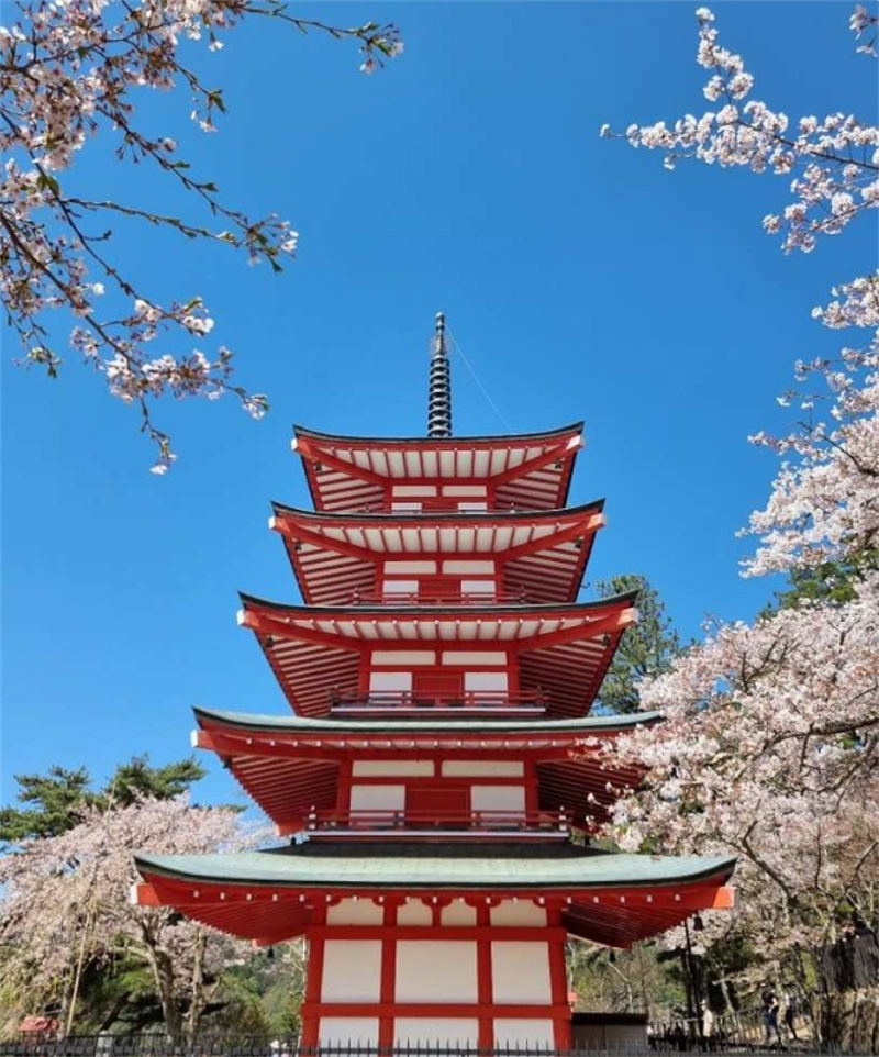 일본 시즈오카 고템바 프리미엄 아울렛에서 후지산 전망과 2시간 이상의 자유시간! 이미지 3