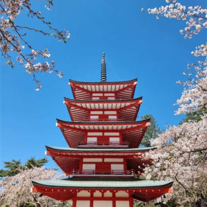 일본  시즈오카 고템바 프리미엄 아울렛에서 후지산 전망과 2시간 이상의 ... 솔직 후기 | 실사용자 리뷰 분석 - 상품 이미지 3