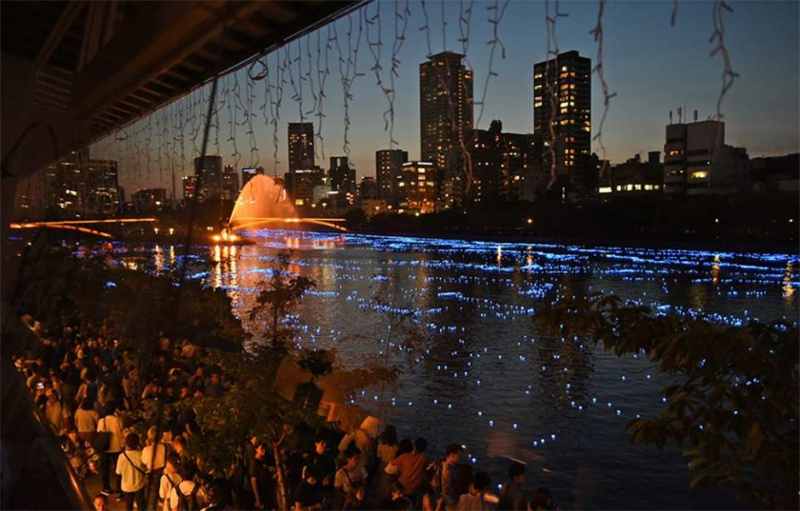 일본 오사카 참치 해체 쇼 다이치 수산 참치 본점 박수안가 빈강점 솔직 후기 | 실사용자 리뷰 분석 - 대표 이미지