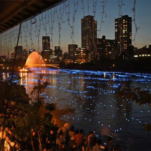 일본 오사카 참치 해체 쇼 다이치 수산 참치 본점 박수안가 빈강점 솔직 후기 | 실사용자 리뷰 분석 - 상품 이미지 1