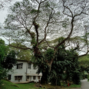 싱가포르 역사 워킹 투어 (X-Trekkers) 솔직 후기 | 실사용자 리뷰 분석 - 상품 이미지 1