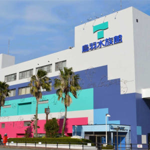 일본 미에  도바 수족관 입장권 솔직 후기 | 실사용자 리뷰 분석 - 상품 이미지 3