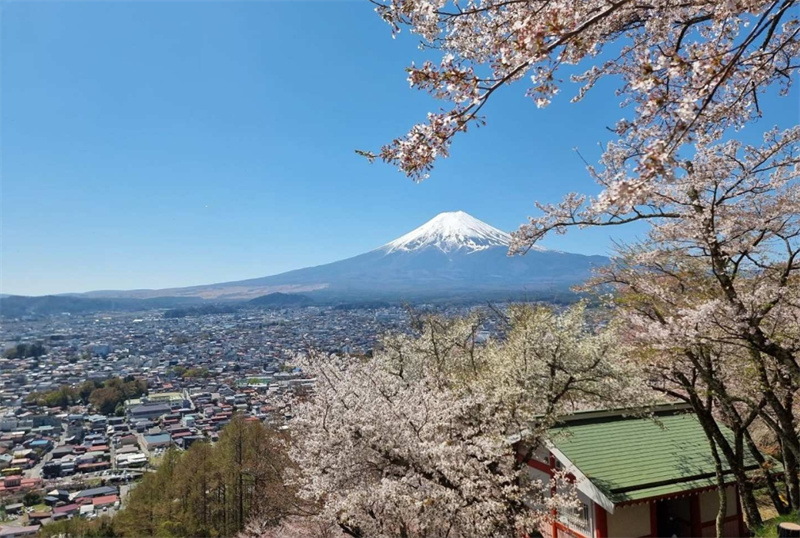 일본 시즈오카 고템바 프리미엄 아울렛에서 후지산 전망과 2시간 이상의 자유시간! 이미지 2