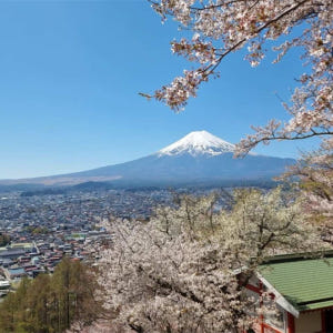 일본  시즈오카 고템바 프리미엄 아울렛에서 후지산 전망과 2시간 이상의 ... 솔직 후기 | 실사용자 리뷰 분석 - 상품 이미지 2