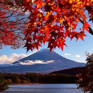 일본  시즈오카 고템바 프리미엄 아울렛에서 후지산 전망과 2시간 이상의 ... 솔직 후기 | 실사용자 리뷰 분석 - 상품 이미지 1