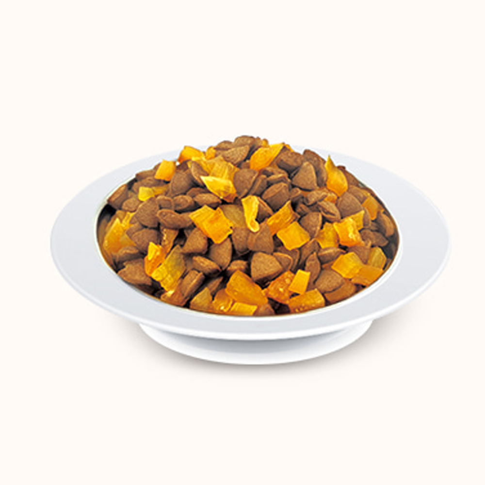 펫러닝 더 프로젝트 강아지 사료 오리고기, 1kg, 1개 - 상세 이미지 5