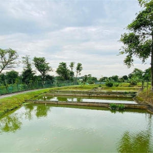 싱가포르  잘란 레카 농업 & 어업 투어 솔직 후기 | 실사용자 리뷰 분석 - 상품 이미지 3