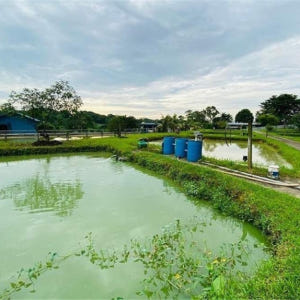 싱가포르  잘란 레카 농업 & 어업 투어 솔직 후기 | 실사용자 리뷰 분석 - 상품 이미지 2