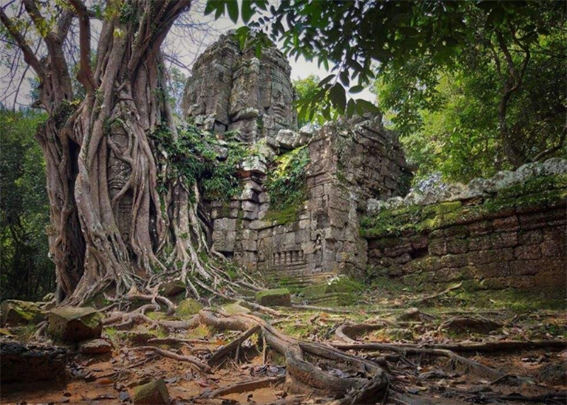 캄보디아 빅 서클 앙콜 고고학 유적지 프라이빗 투어 이미지 1