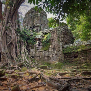 캄보디아 빅 서클 앙콜 고고학 유적지 프라이빗 투어 솔직 후기 | 실사용자 리뷰 분석 - 상품 이미지 1