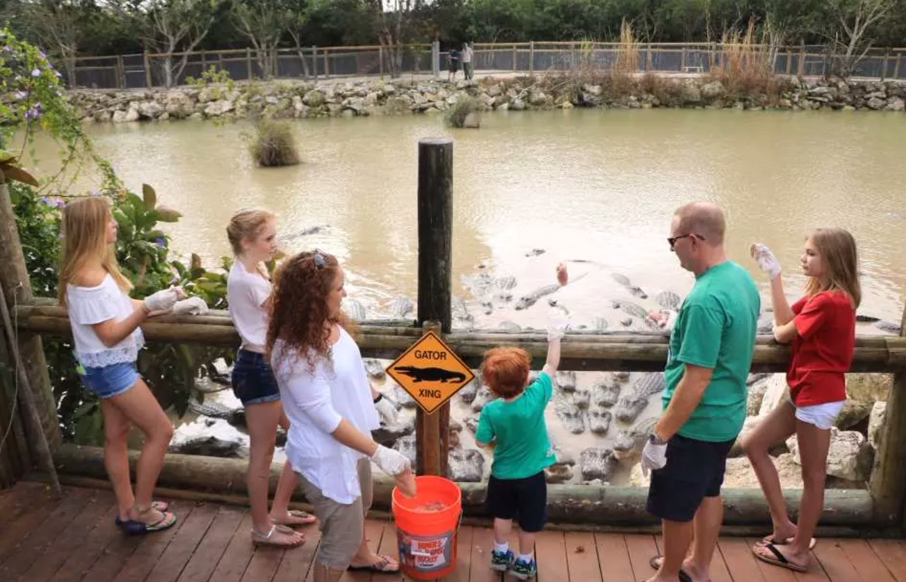 고시티 | 마이애미 익스플로러 패스(Miami Explorer Pass) 이미지 3