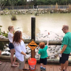 고시티 | 마이애미 익스플로러 패스(Miami Explorer Pass) 솔직 후기 | 실사용자 리뷰 분석 - 상품 이미지 3