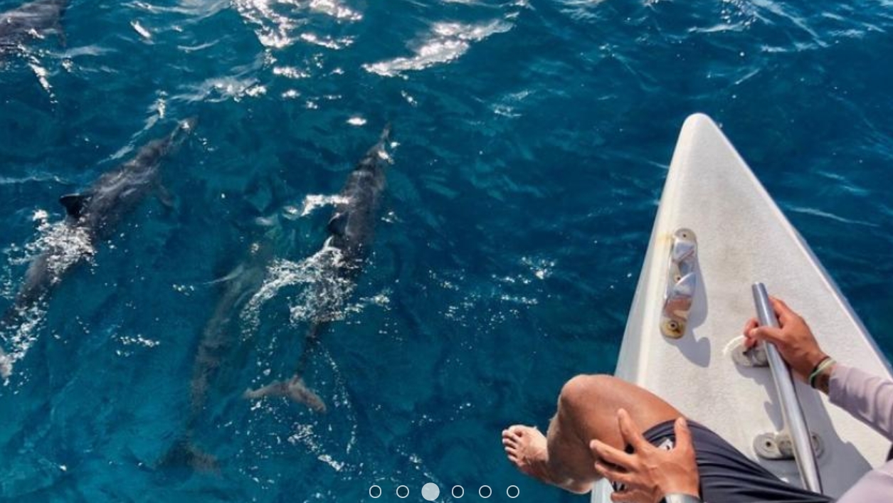 하와이 오아후 고카드 Go Card | 올 인클루시브 패스 (Oahu All-Inclusive Pass) 이미지 4