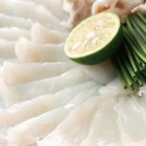 일본 도쿄 후구 후쿠지 온라인 예약  긴자 복어 요리 솔직 후기 | 실사용자 리뷰 분석 - 상품 이미지 1