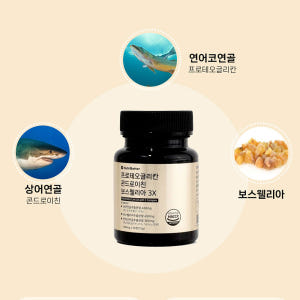 뉴트리베러 프로테오글리칸 콘드로이친 보스웰리아 3X 30정, 1개 맛있게 먹은 솔직 후기 - 상품 이미지 3