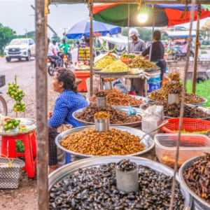 캄보디아 씨엠립 푸드 베스타 투어 솔직 후기 | 실사용자 리뷰 분석 - 상품 이미지 1